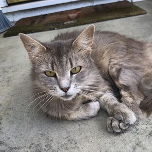 Meet your Posher, Jillian